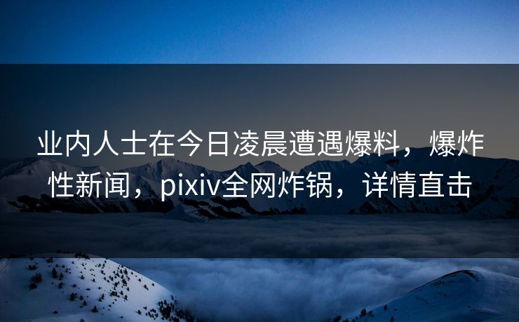 业内人士在今日凌晨遭遇爆料，爆炸性新闻，pixiv全网炸锅，详情直击