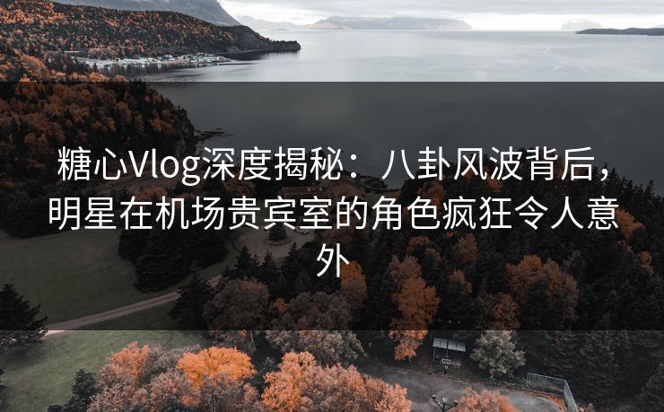 糖心Vlog深度揭秘：八卦风波背后，明星在机场贵宾室的角色疯狂令人意外