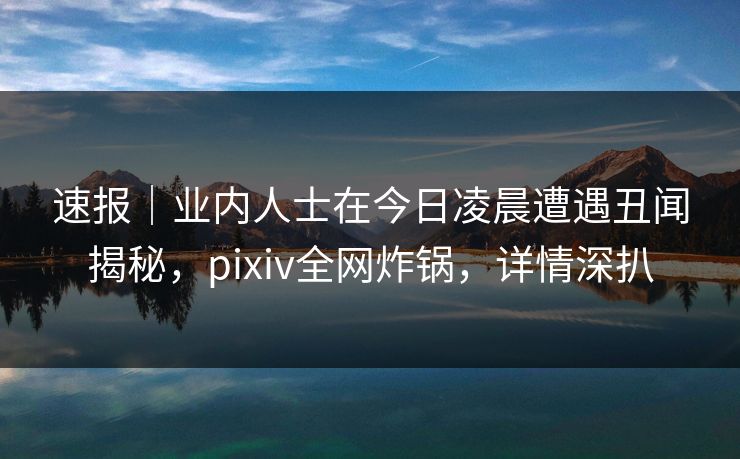 速报｜业内人士在今日凌晨遭遇丑闻揭秘，pixiv全网炸锅，详情深扒