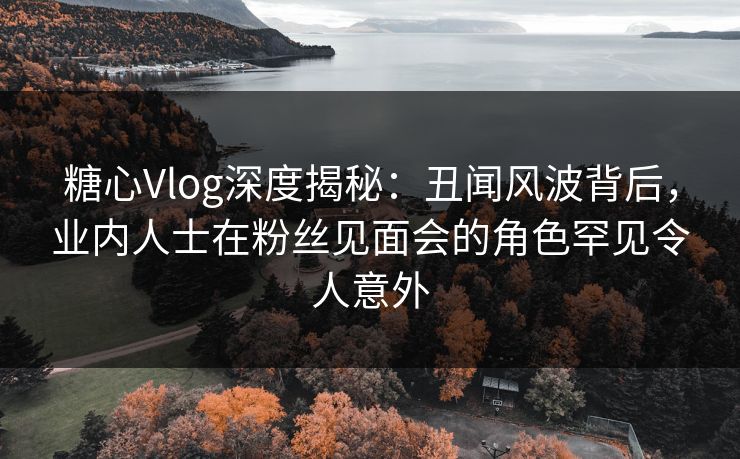 糖心Vlog深度揭秘：丑闻风波背后，业内人士在粉丝见面会的角色罕见令人意外