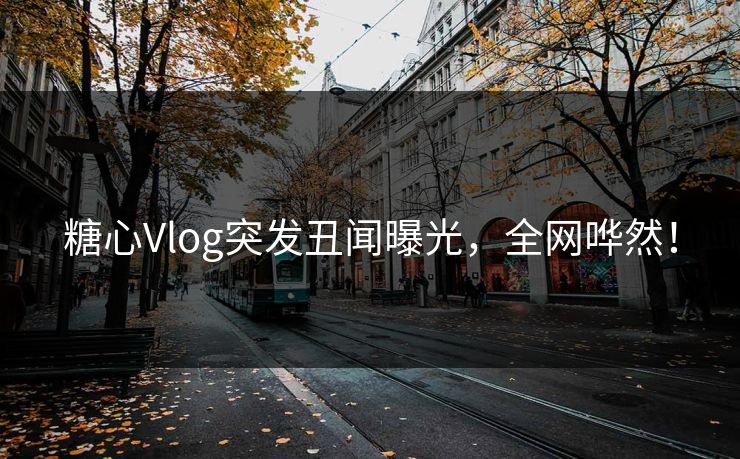 糖心Vlog突发丑闻曝光，全网哗然！