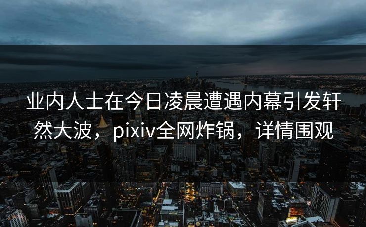 业内人士在今日凌晨遭遇内幕引发轩然大波，pixiv全网炸锅，详情围观