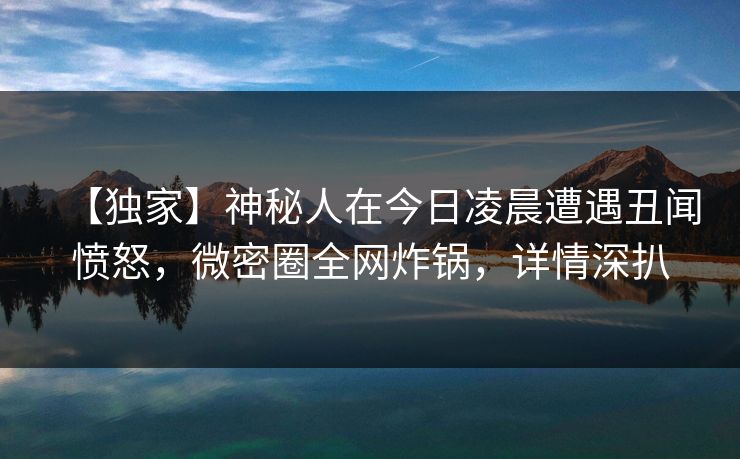【独家】神秘人在今日凌晨遭遇丑闻愤怒，微密圈全网炸锅，详情深扒