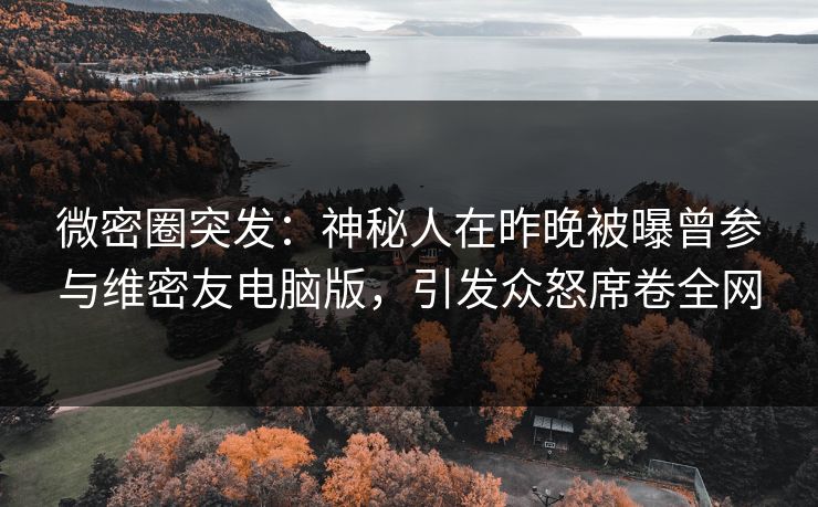 微密圈突发：神秘人在昨晚被曝曾参与维密友电脑版，引发众怒席卷全网