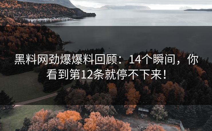 黑料网劲爆爆料回顾：14个瞬间，你看到第12条就停不下来！
