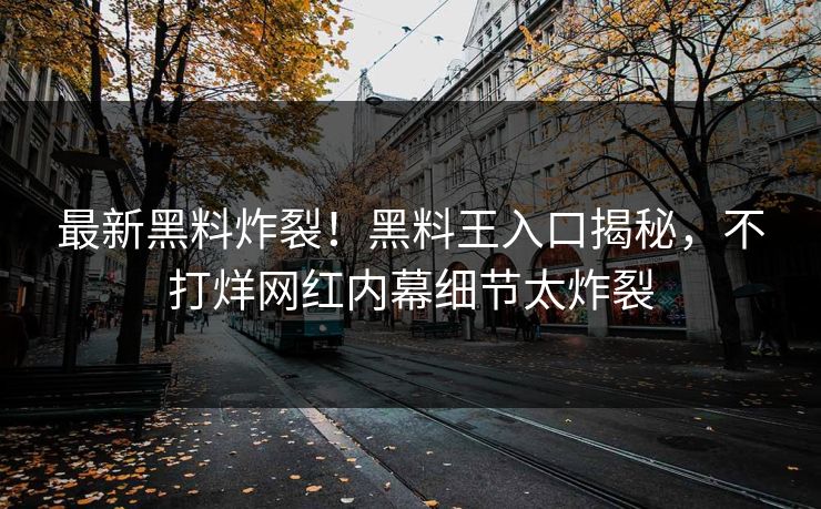 最新黑料炸裂！黑料王入口揭秘，不打烊网红内幕细节太炸裂