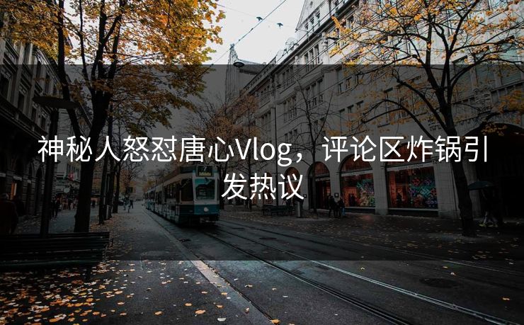 神秘人怒怼唐心Vlog，评论区炸锅引发热议