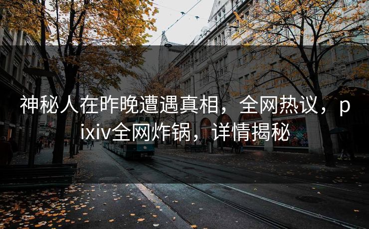 神秘人在昨晚遭遇真相，全网热议，pixiv全网炸锅，详情揭秘