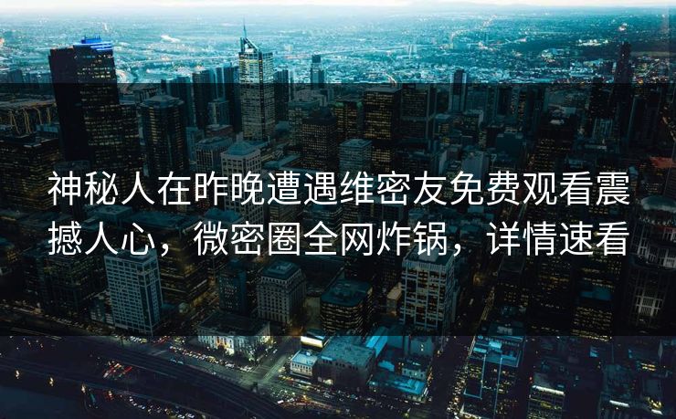 神秘人在昨晚遭遇维密友免费观看震撼人心，微密圈全网炸锅，详情速看
