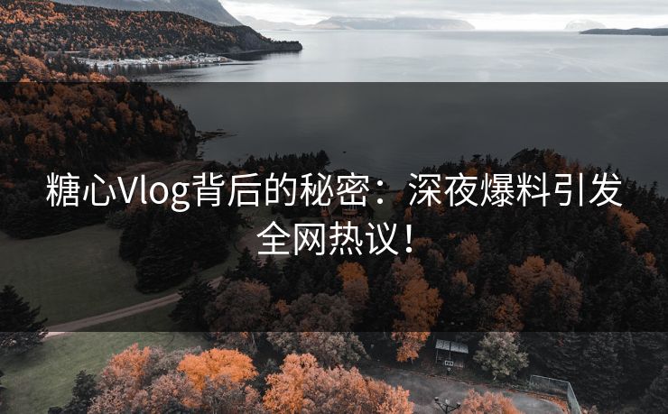 糖心Vlog背后的秘密：深夜爆料引发全网热议！