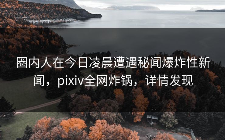 圈内人在今日凌晨遭遇秘闻爆炸性新闻，pixiv全网炸锅，详情发现