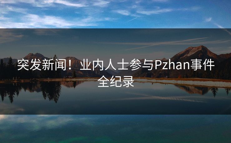 突发新闻！业内人士参与Pzhan事件全纪录