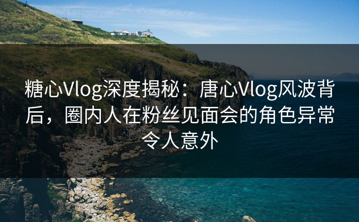 糖心Vlog深度揭秘：唐心Vlog风波背后，圈内人在粉丝见面会的角色异常令人意外