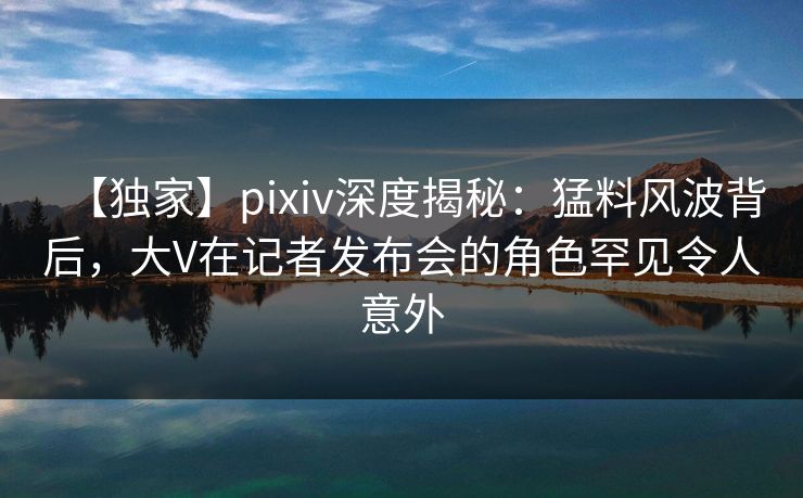 【独家】pixiv深度揭秘：猛料风波背后，大V在记者发布会的角色罕见令人意外