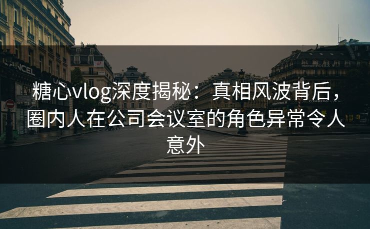 糖心vlog深度揭秘：真相风波背后，圈内人在公司会议室的角色异常令人意外